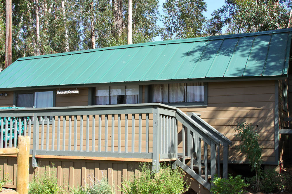 Bandy Canyon Ranch Escondido Exterior foto